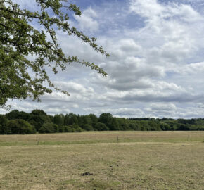 Sharpenhoe Rd, Barton-le-Clay