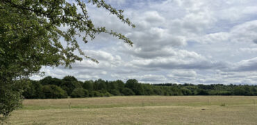 Sharpenhoe Rd, Barton-le-Clay