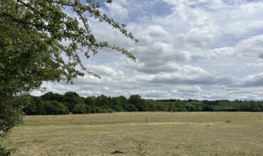 Sharpenhoe Rd, Barton-le-Clay