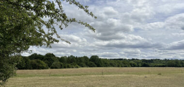 Sharpenhoe Rd, Barton-le-Clay