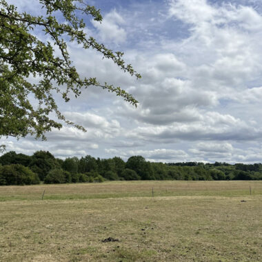 Sharpenhoe Rd, Barton-le-Clay