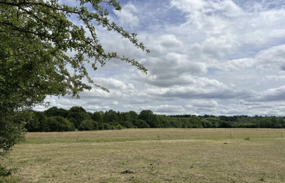 Sharpenhoe Rd, Barton-le-Clay